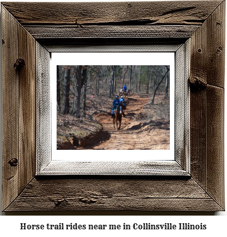 horse trail rides near me in Collinsville, Illinois